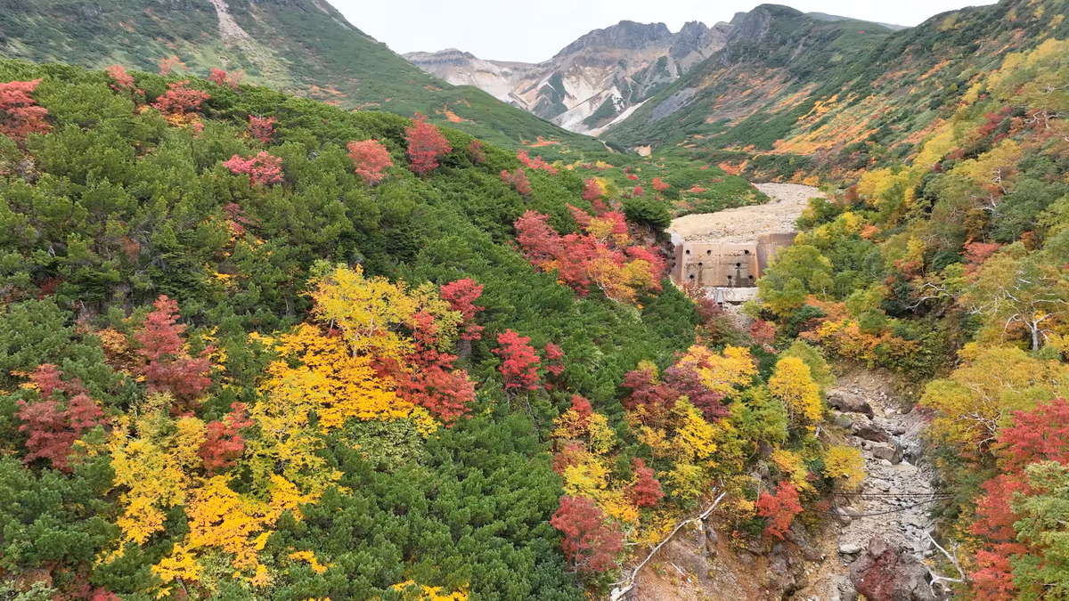 投稿写真：十勝岳温泉郷と紅葉