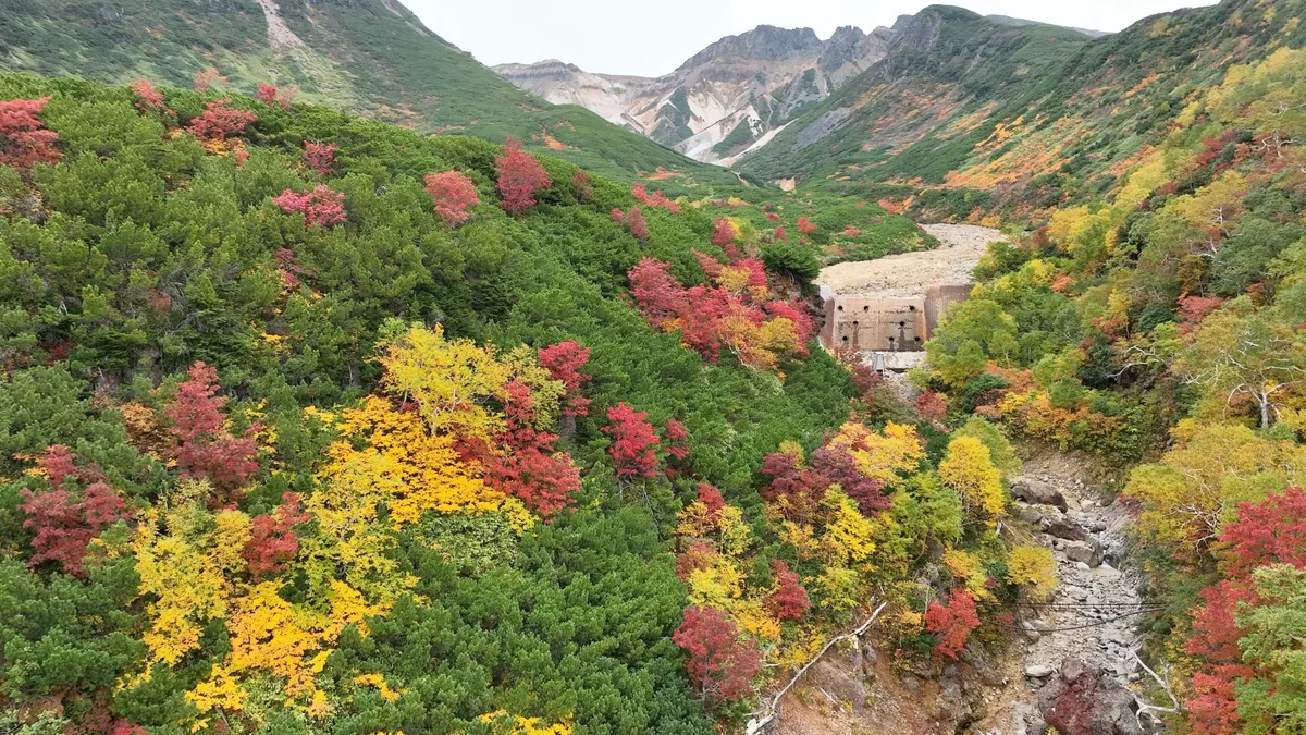 投稿写真：十勝岳温泉郷と紅葉