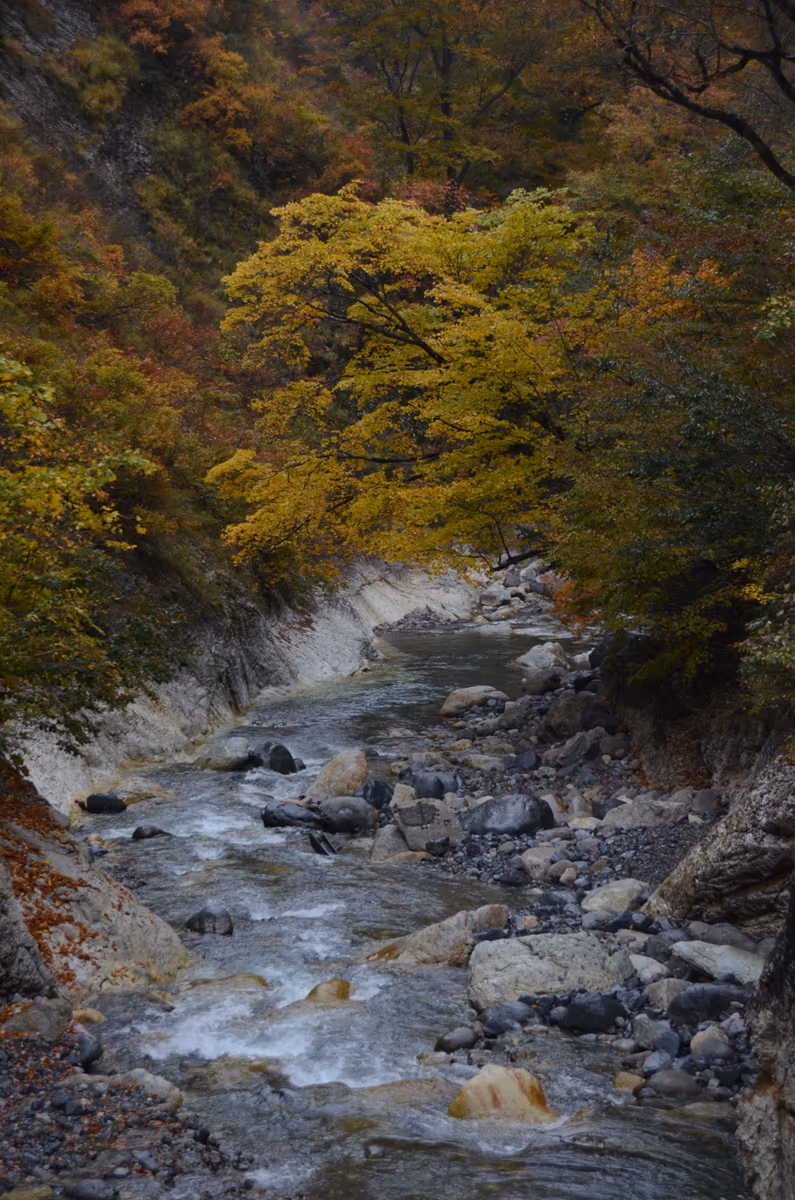 投稿写真：白山蛇谷紅葉