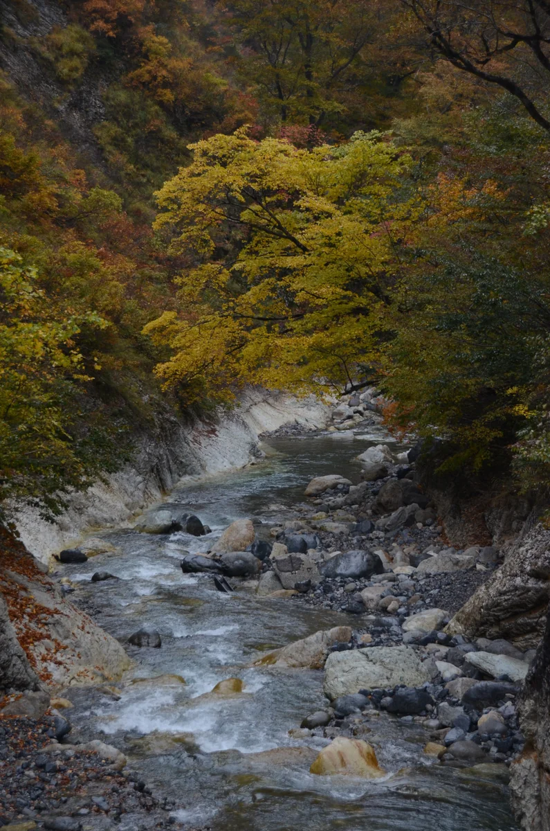 投稿写真：白山蛇谷紅葉