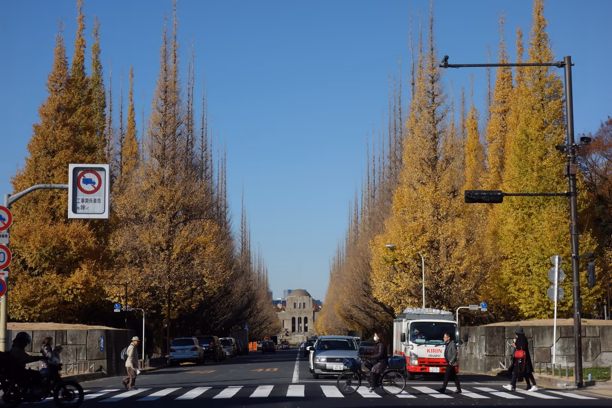 投稿写真：神宮外苑銀杏並木