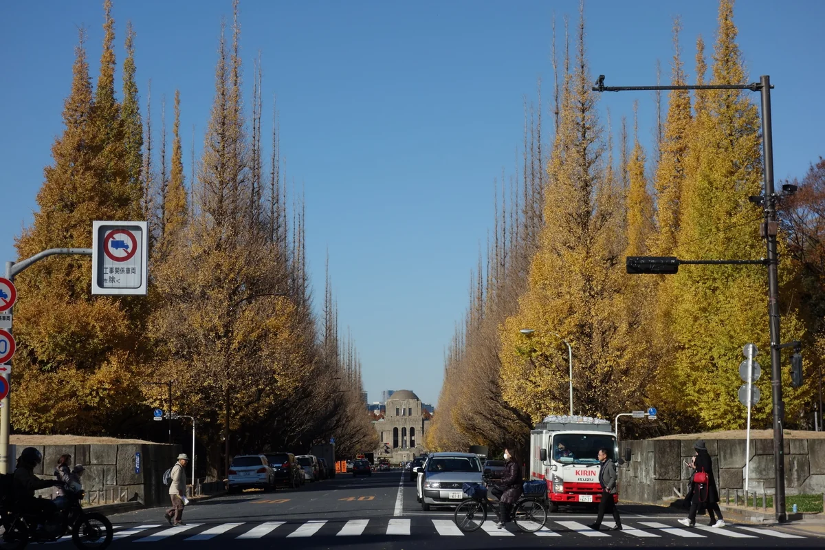 投稿写真：神宮外苑銀杏並木
