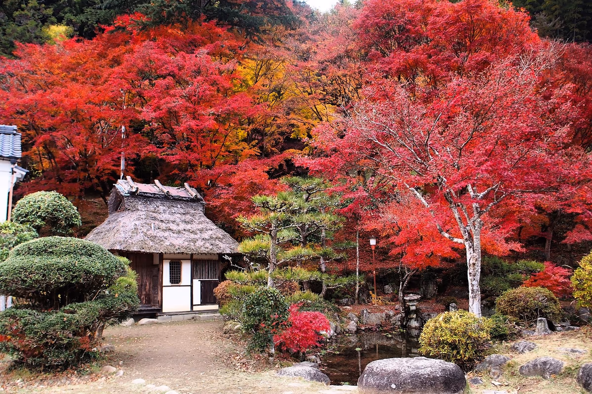 投稿写真：香嵐渓
