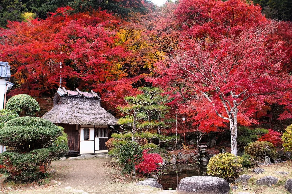 投稿写真：香嵐渓
