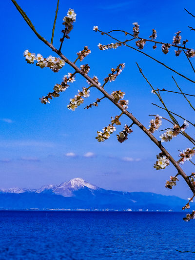  | 絶景事典