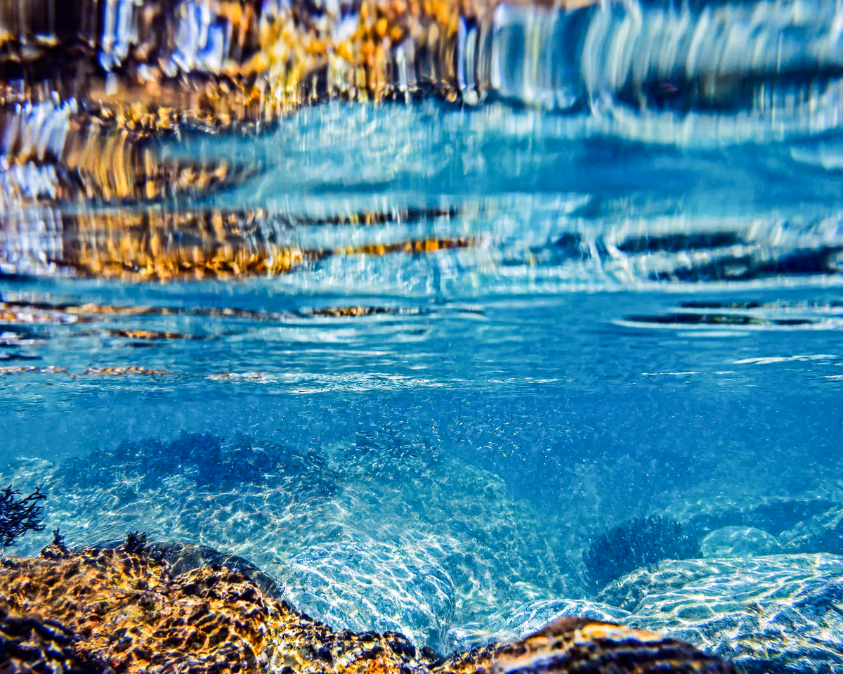 投稿写真：水 ノ 中