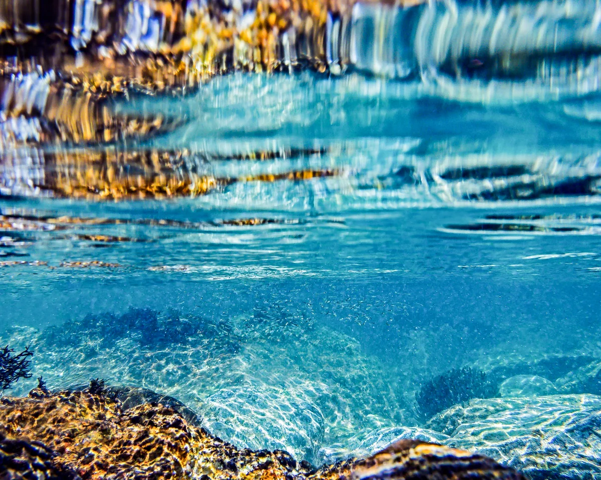 投稿写真：水 ノ 中