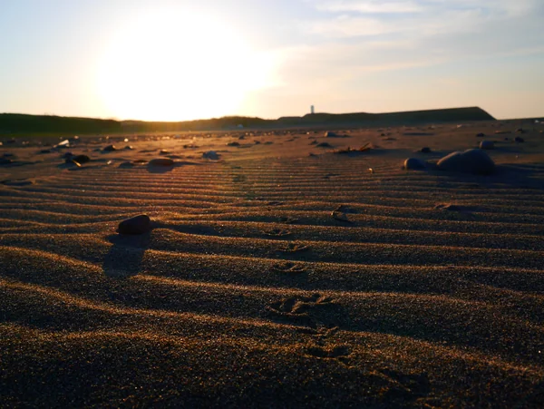 投稿：中田島砂丘の風紋と足跡
