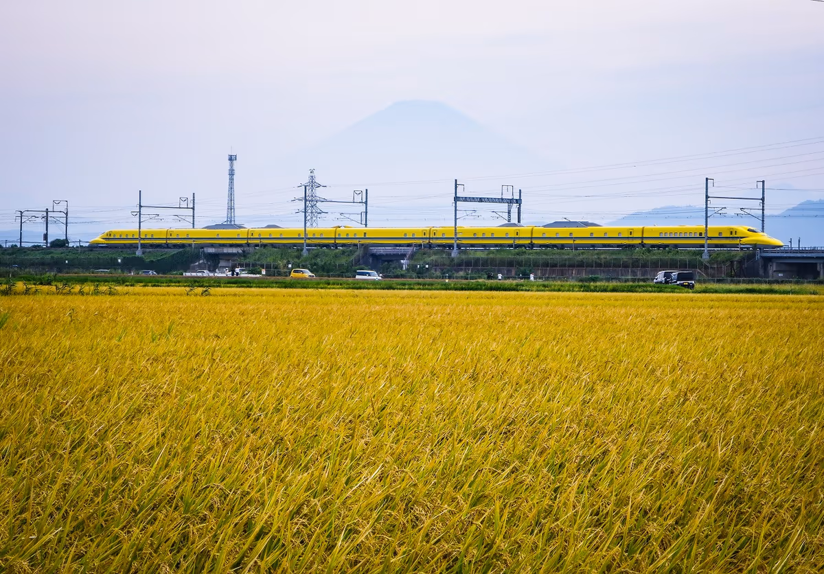 投稿写真：実りの秋を走るドクターイエロー