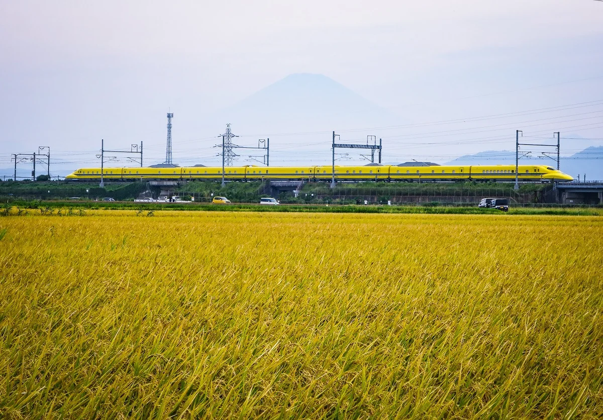 投稿写真：実りの秋を走るドクターイエロー
