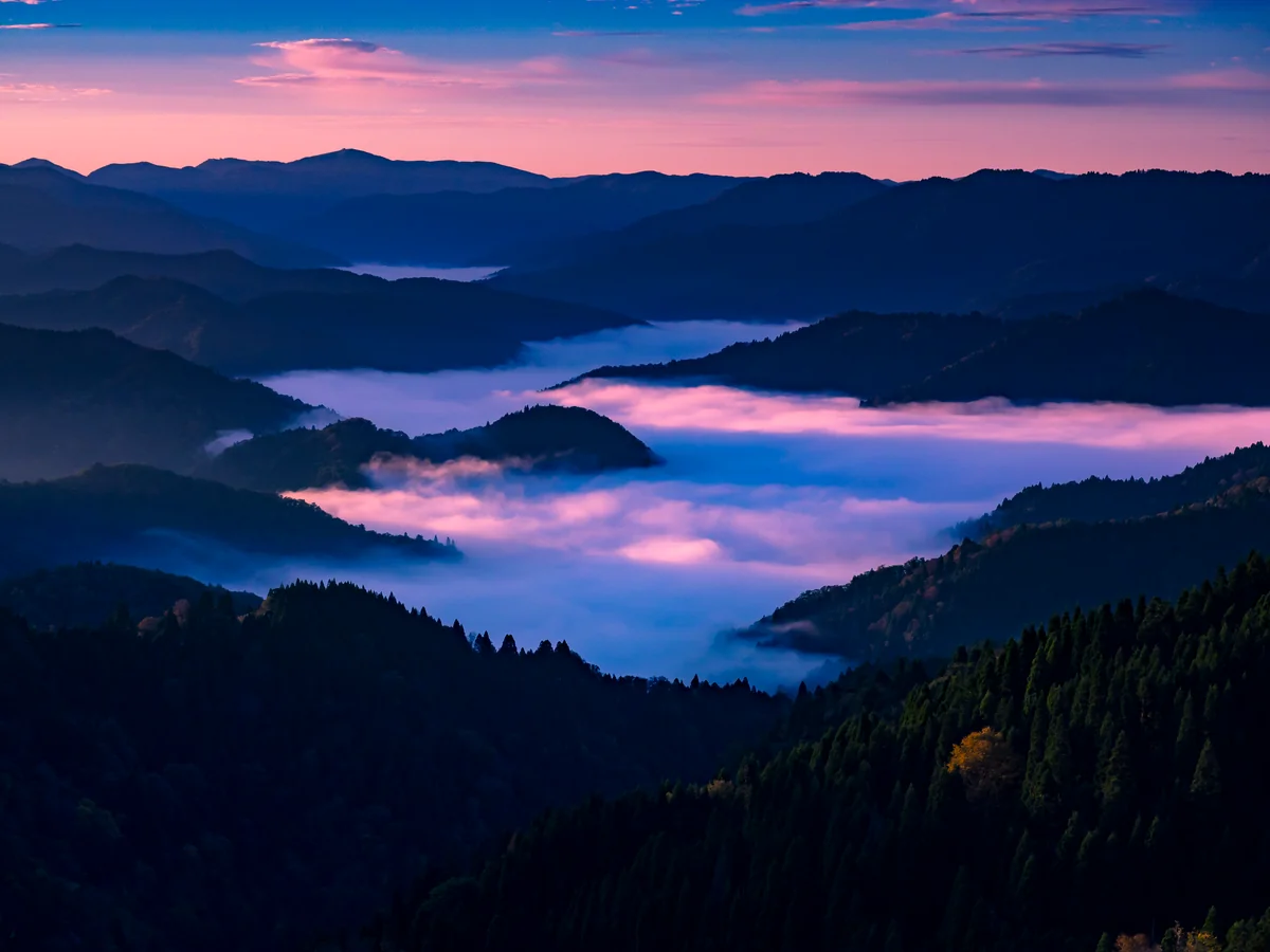 投稿写真：暁光に映える小入峠の雲海