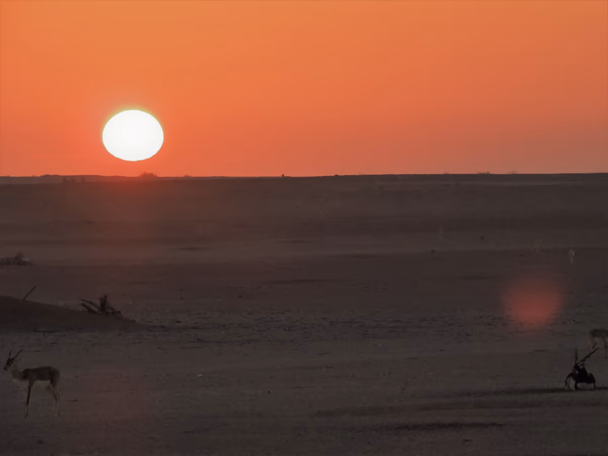 投稿写真：シルバニヤス島で見た朝日
