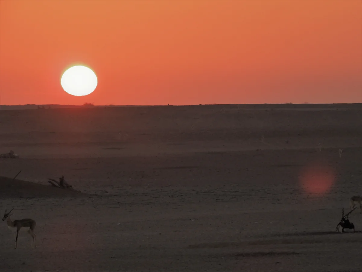 投稿写真：シルバニヤス島で見た朝日