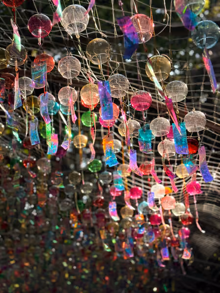 投稿：宮地嶽神社、夏の風物詩