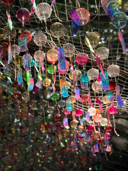 投稿：宮地嶽神社、夏の風物詩