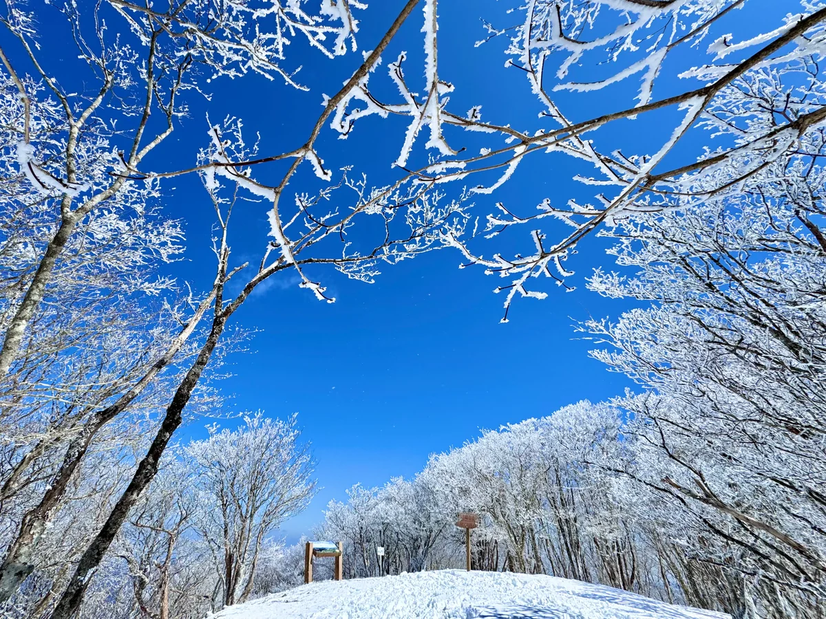 K Satine Jpさんの投稿写真