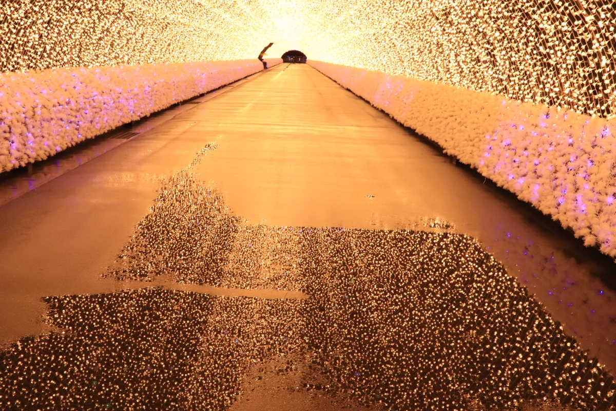 投稿写真：なばなの里