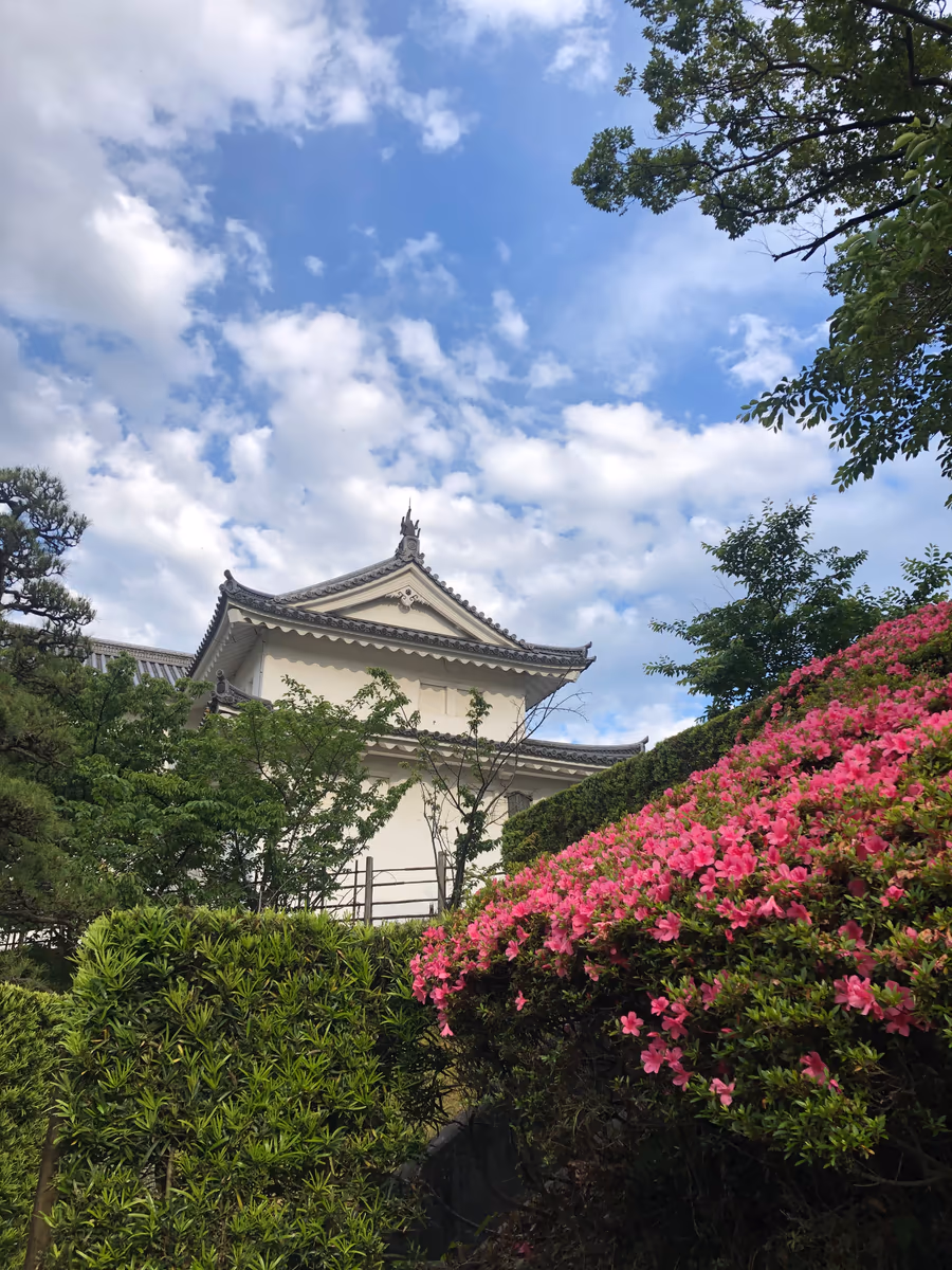 投稿写真：駿府城　巽櫓