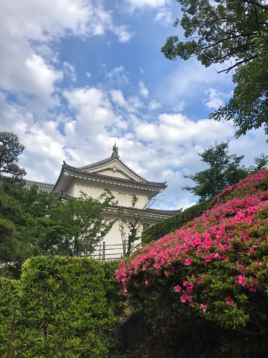 投稿写真：駿府城　巽櫓