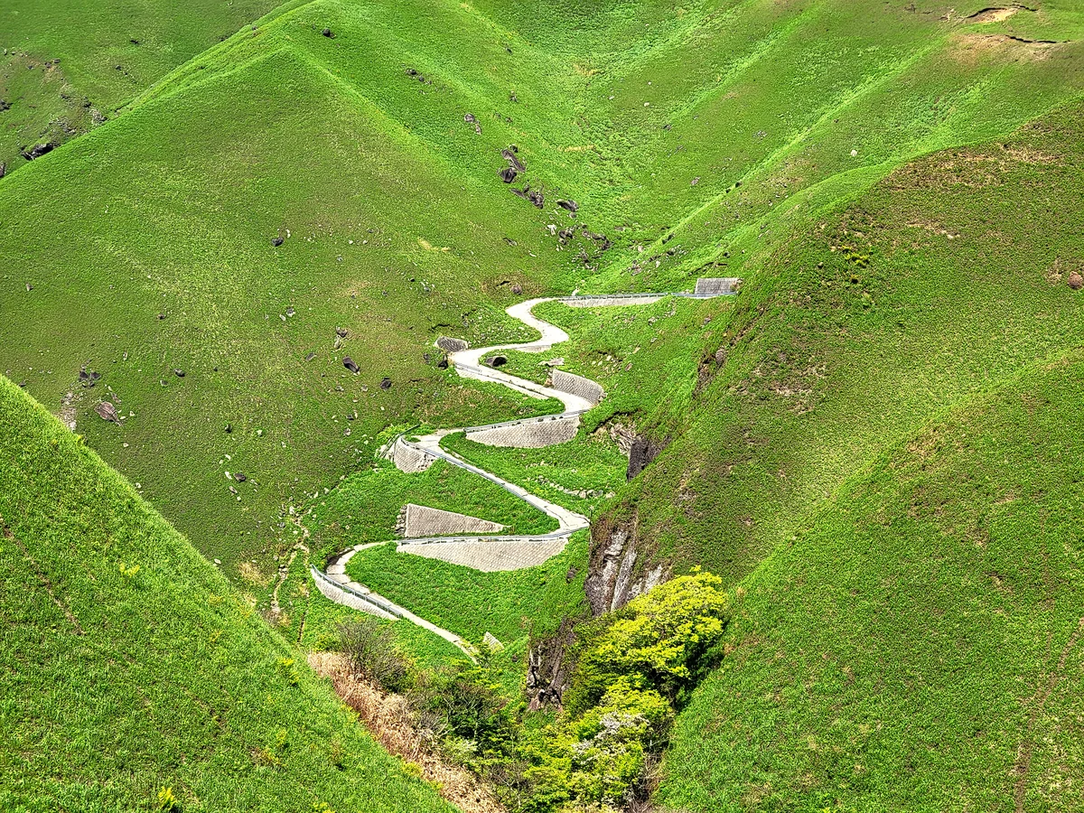 投稿写真：蛇の道ドアップ