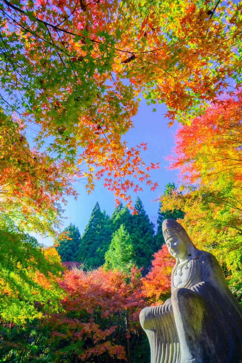 投稿写真：🧝‍♀️🍁✨ 船尾滝/吉岡町 /Gunma