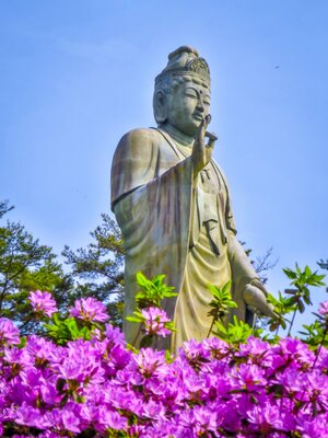  | 絶景事典