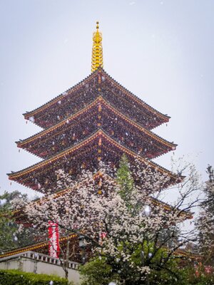  | 絶景事典
