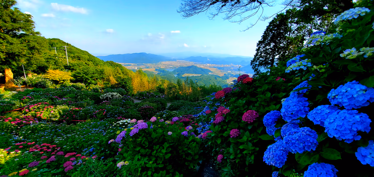 投稿写真：山あいにあるお寺