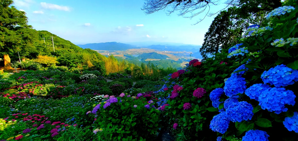 投稿写真：山あいにあるお寺