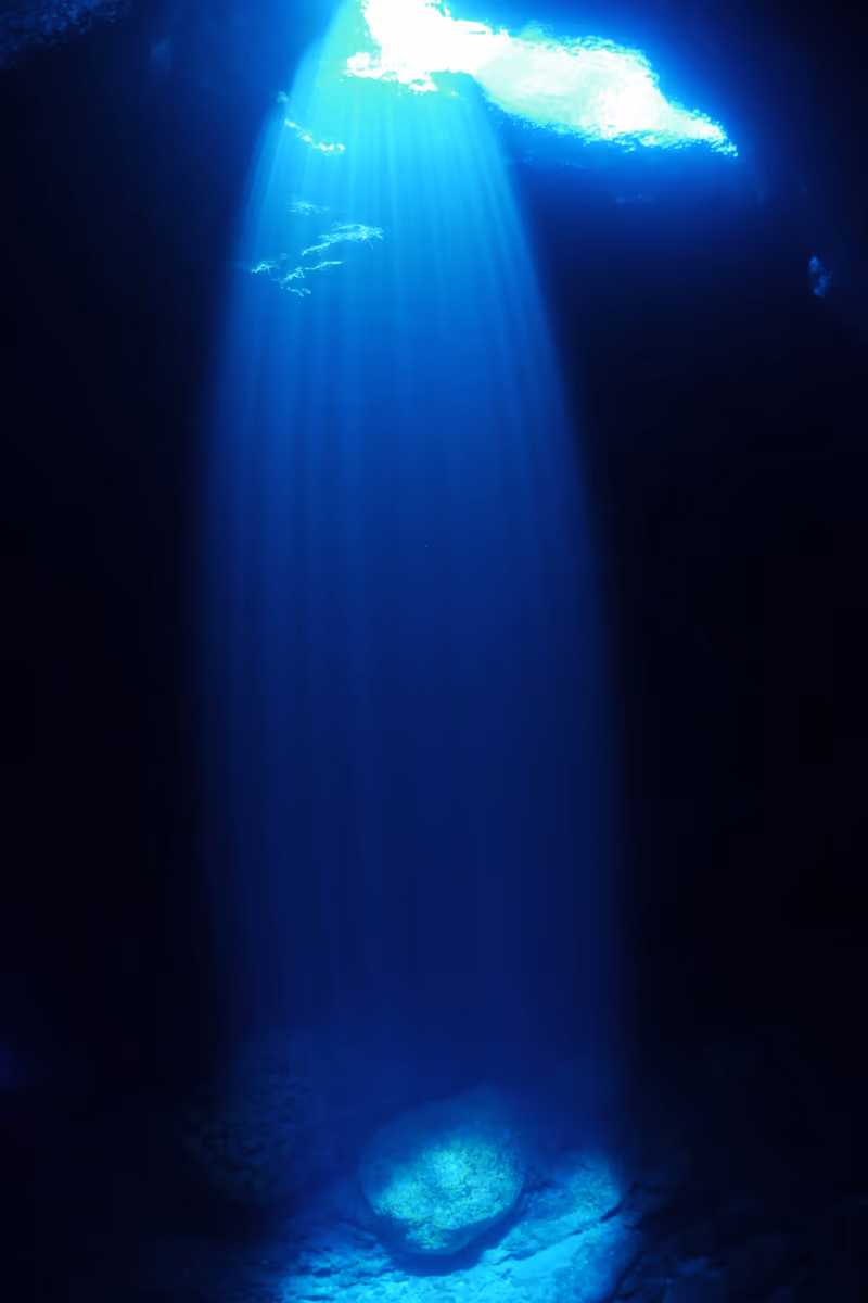 投稿写真：Deep Blue Light