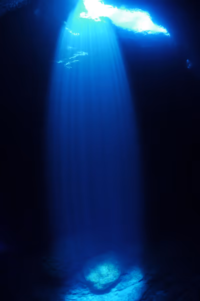 投稿：Deep Blue Light