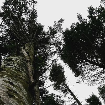  | 絶景事典
