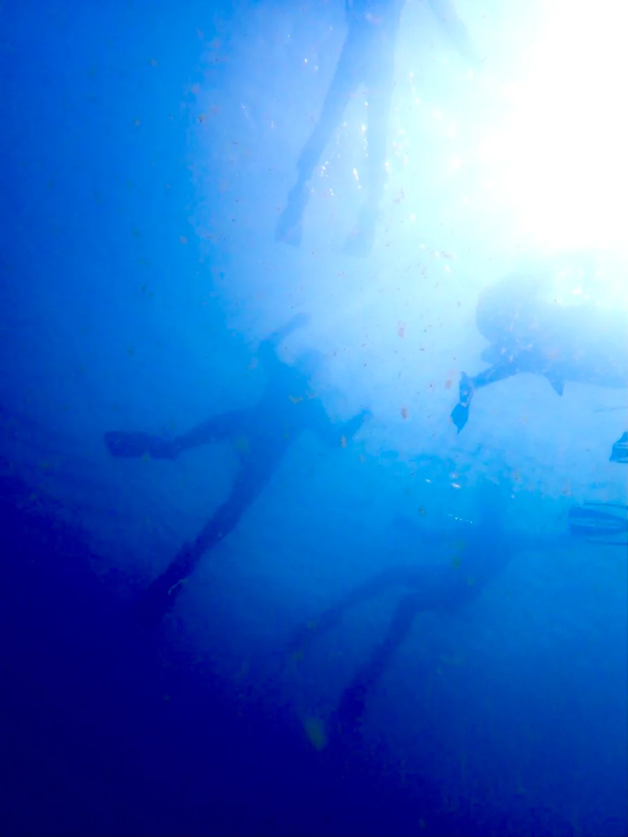 投稿写真：限られた時の中で