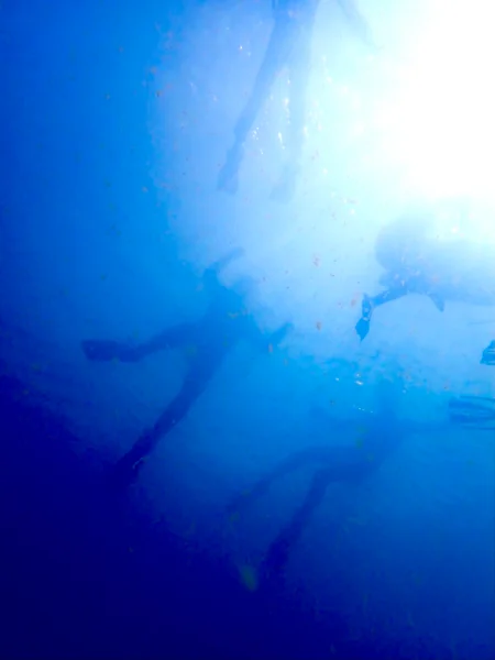 投稿：限られた時の中で