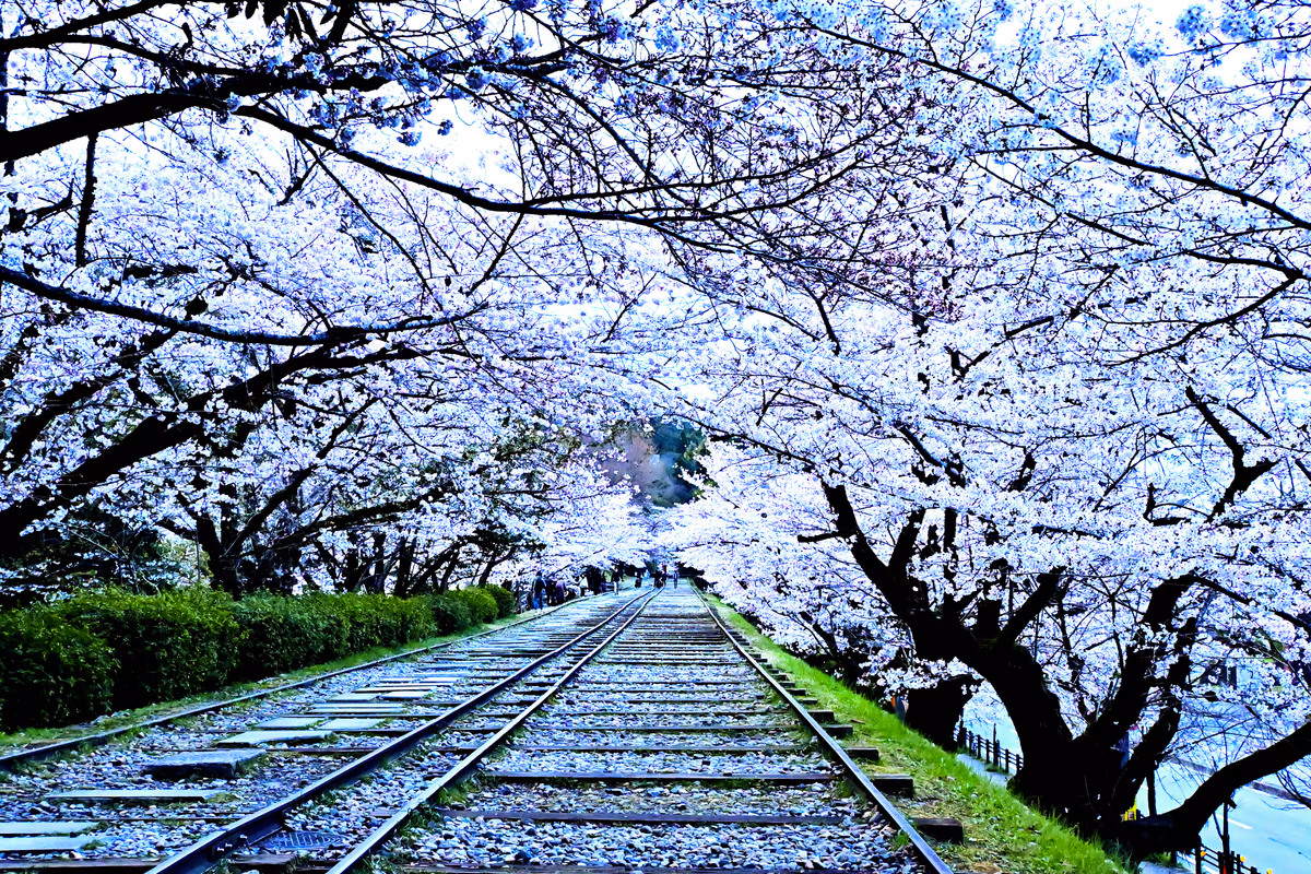 投稿写真：蹴上インクライン
