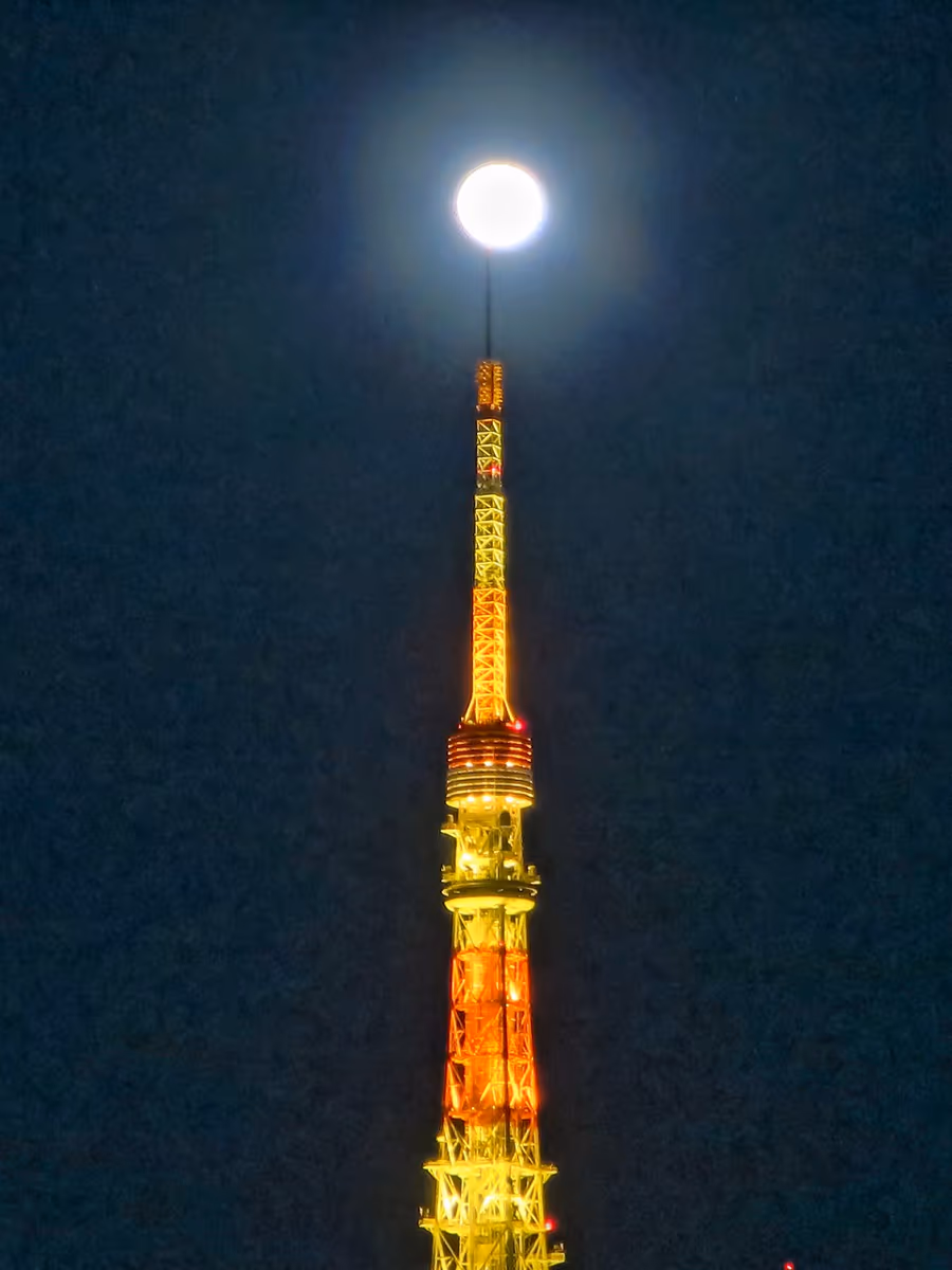 投稿写真：十六夜月パール東京タワー