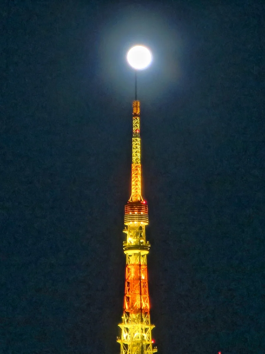投稿写真：十六夜月パール東京タワー