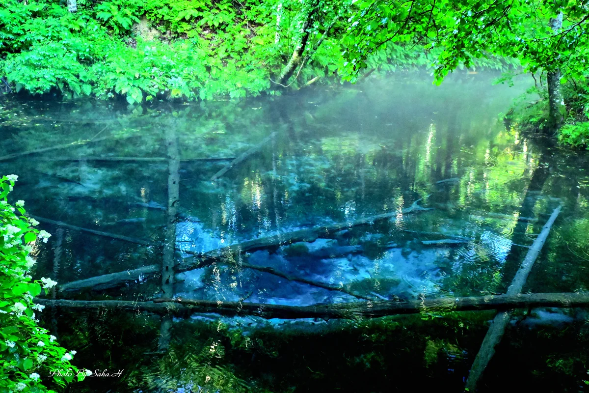 投稿写真：神の子池