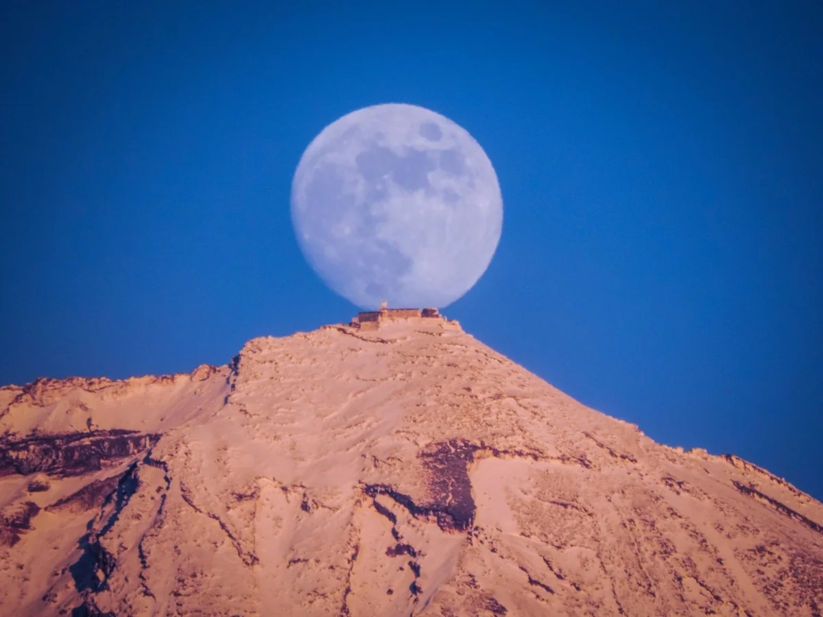 投稿写真：パール薄紅富士