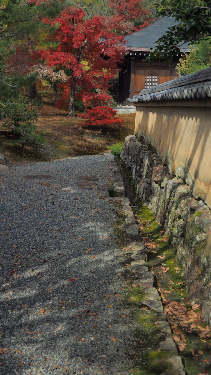 投稿写真：金閣寺　秋の一角