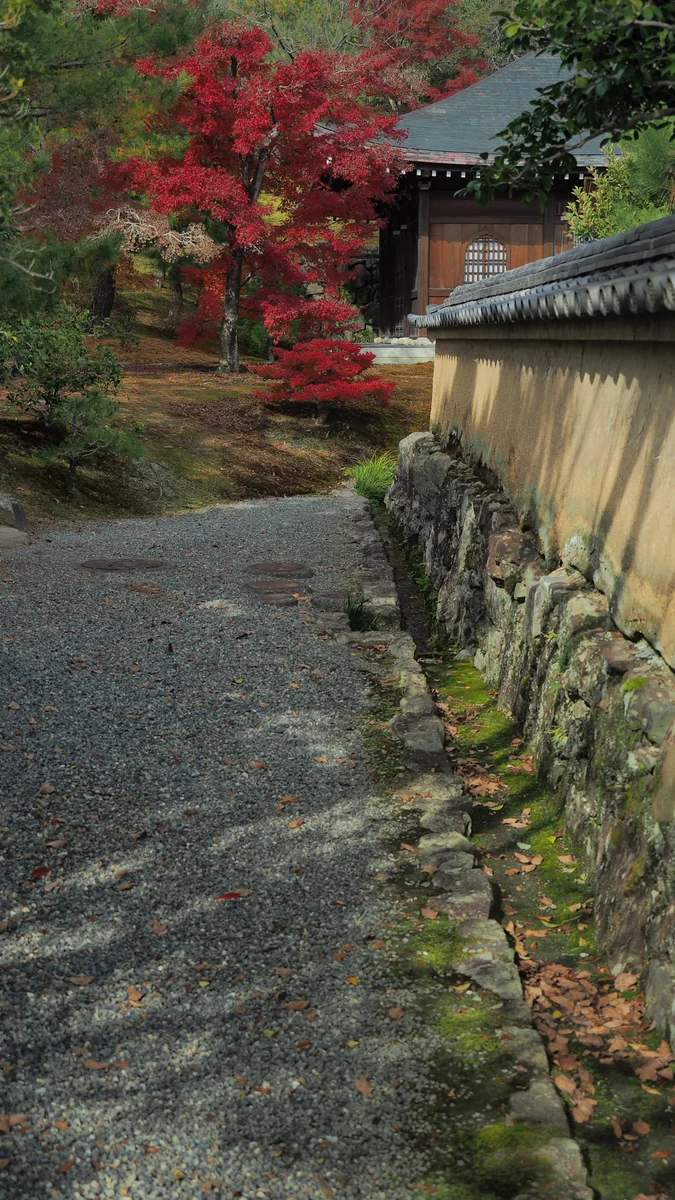 投稿写真：金閣寺　秋の一角
