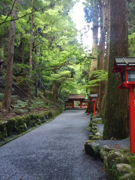 投稿：京都貴船神社