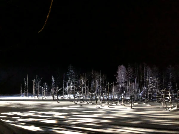 投稿：北海道　青い池ライトアップ
