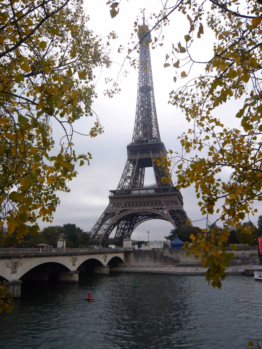 投稿写真：10月のエッフェル塔🍁