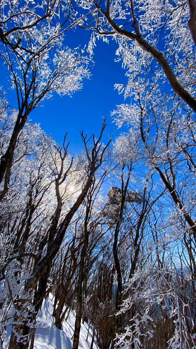 投稿写真：❄️高見ブルー❄️