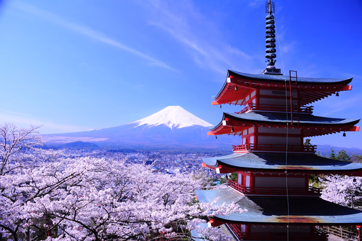 投稿写真：春