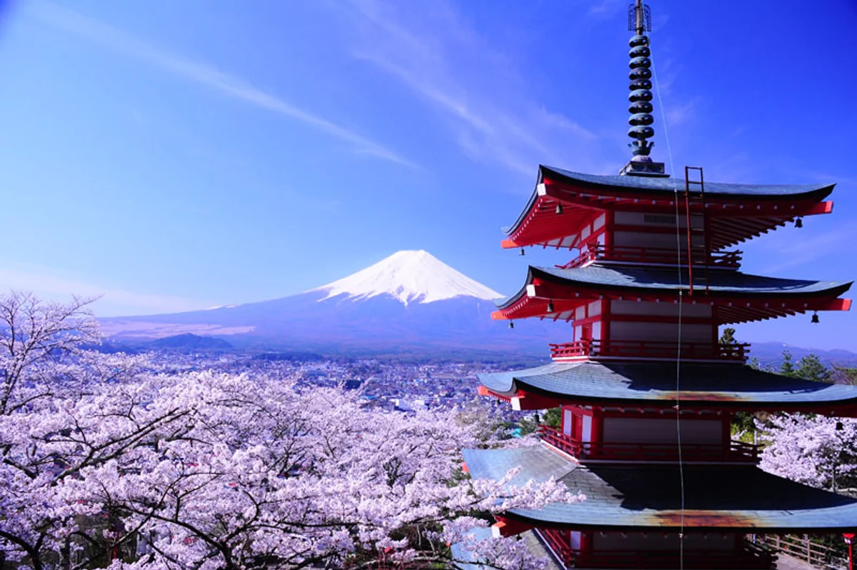 投稿写真：春