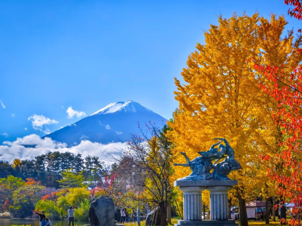 投稿写真：イチョウの黄葉と富士山