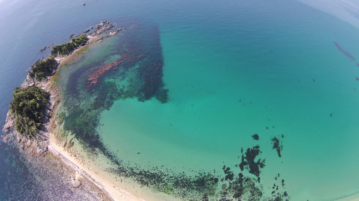 投稿写真：五十谷三島（いやみしま）