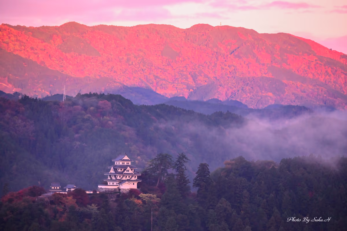 Hiromi Sakataさんの投稿写真